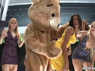 Niedźwiedź tańca pieprzy Latina Kayla Carrera w Hot Fail to keep Belt